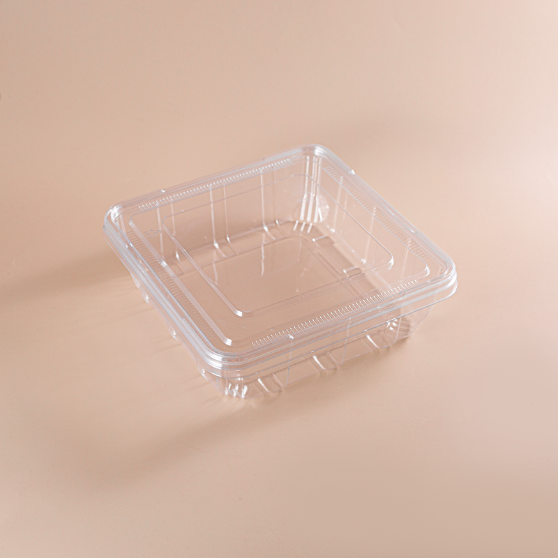 Caja desechable de PET para panadería Caja desechable de PET para panadería